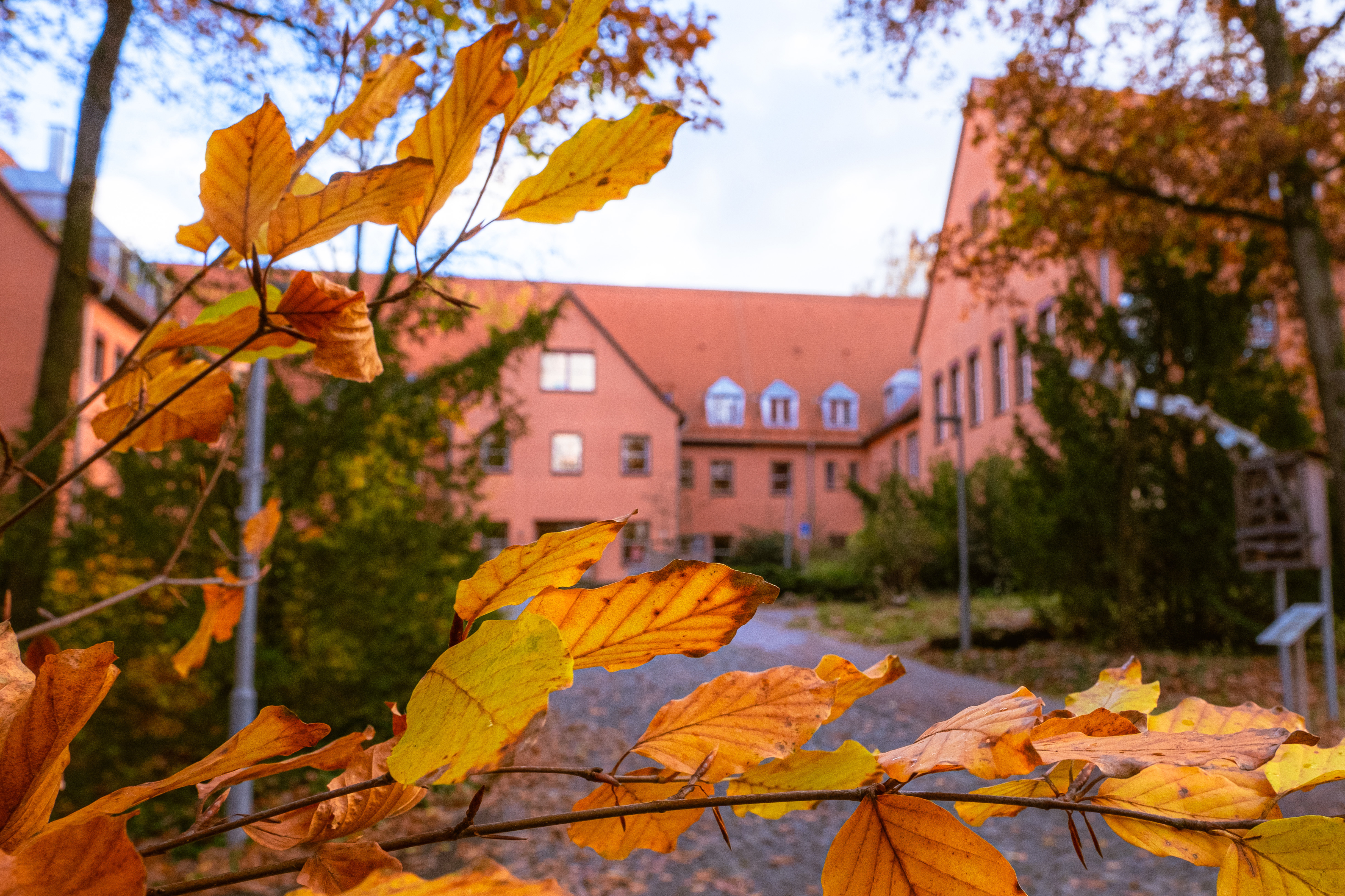 LandratsamtHerbst-3